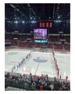 SquarePic_20260130_23183238